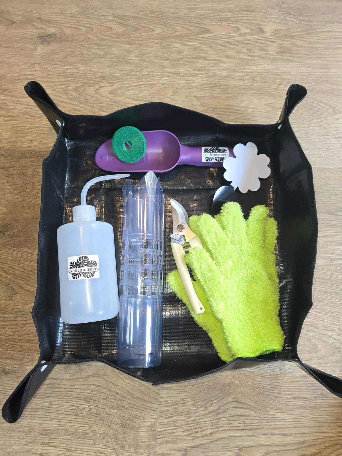 Packs 🌱💚