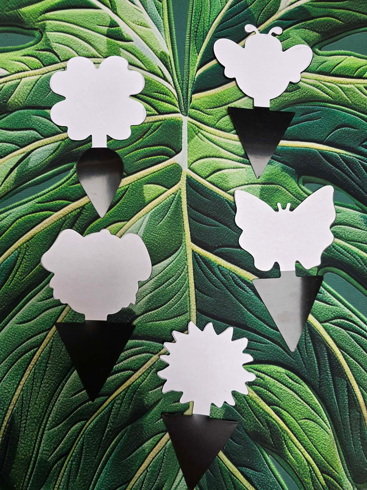 Accessoires