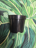 Pots de Culture 0,30 L 🪴🌿 – Format Idéal pour le Rempotage & les Boutures (9×7 cm)