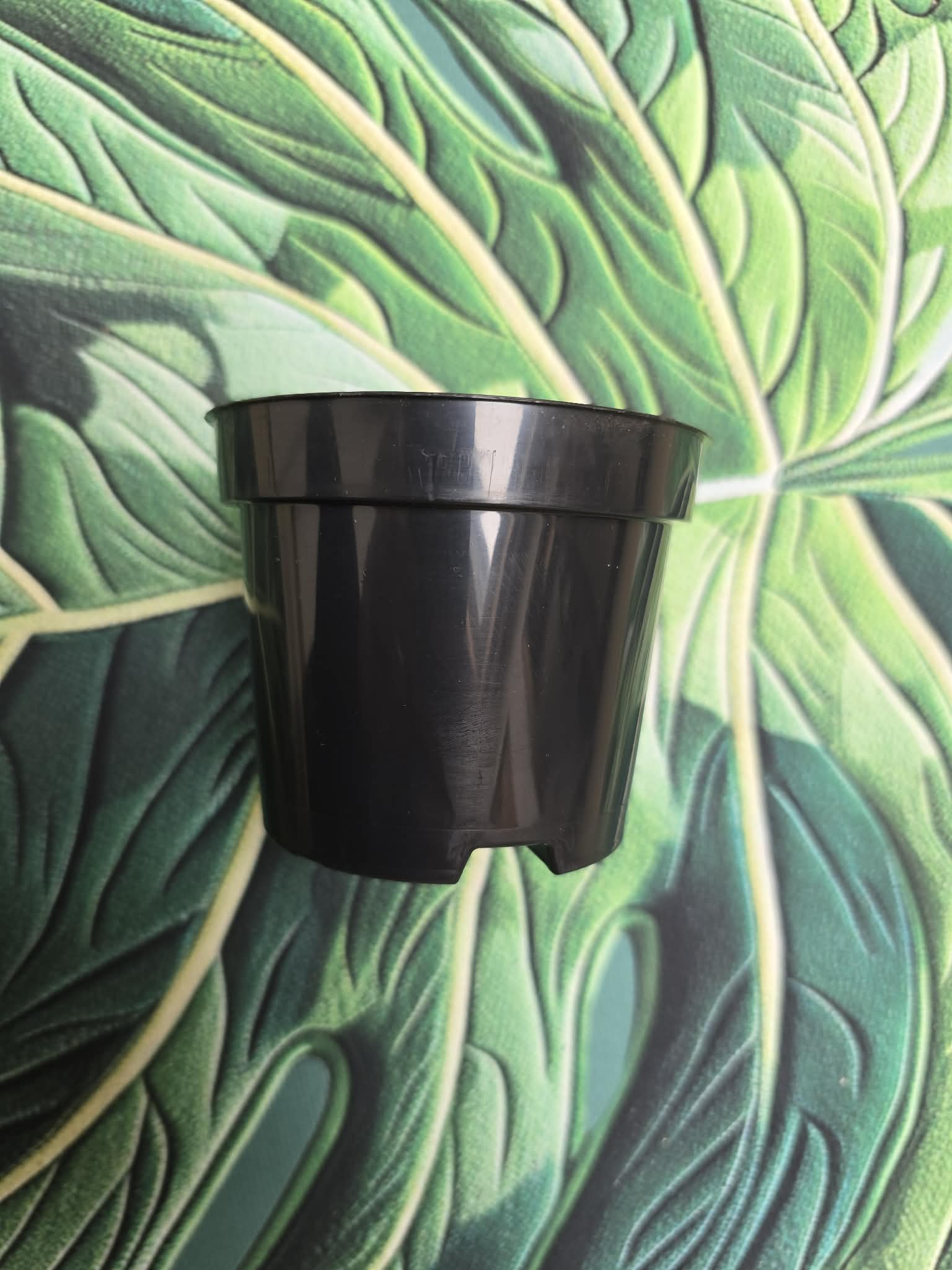 Pots de Culture 0,30 L 🪴🌿 – Format Idéal pour le Rempotage & les Boutures (9×7 cm)