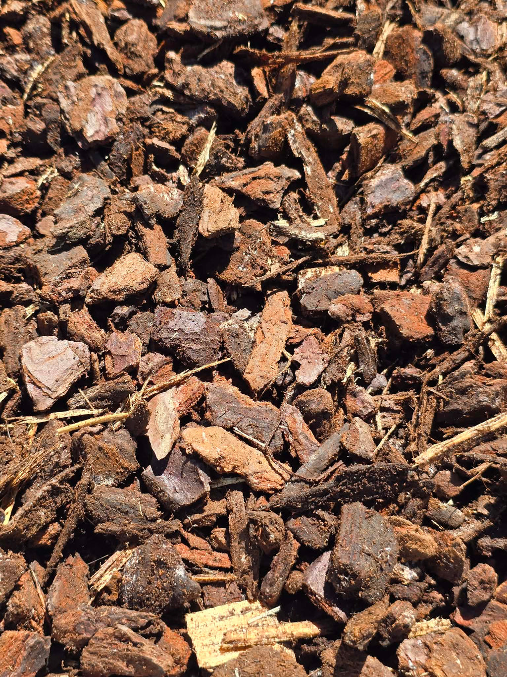 Écorces de Pin Premium 🌿 – Substrat Drainant Naturel Idéal pour les Orchidées, Monsteras & Plantes Tropicales