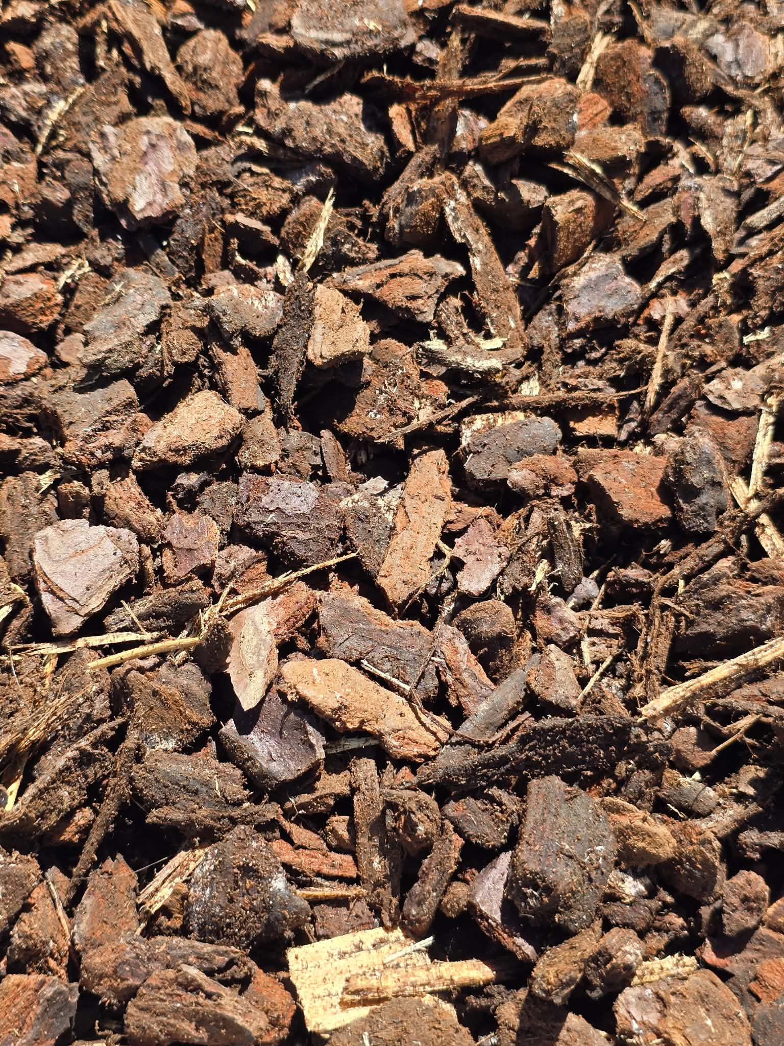 Écorces de Pin Premium 🌿 – Substrat Drainant Naturel Idéal pour les Orchidées, Monsteras & Plantes Tropicales