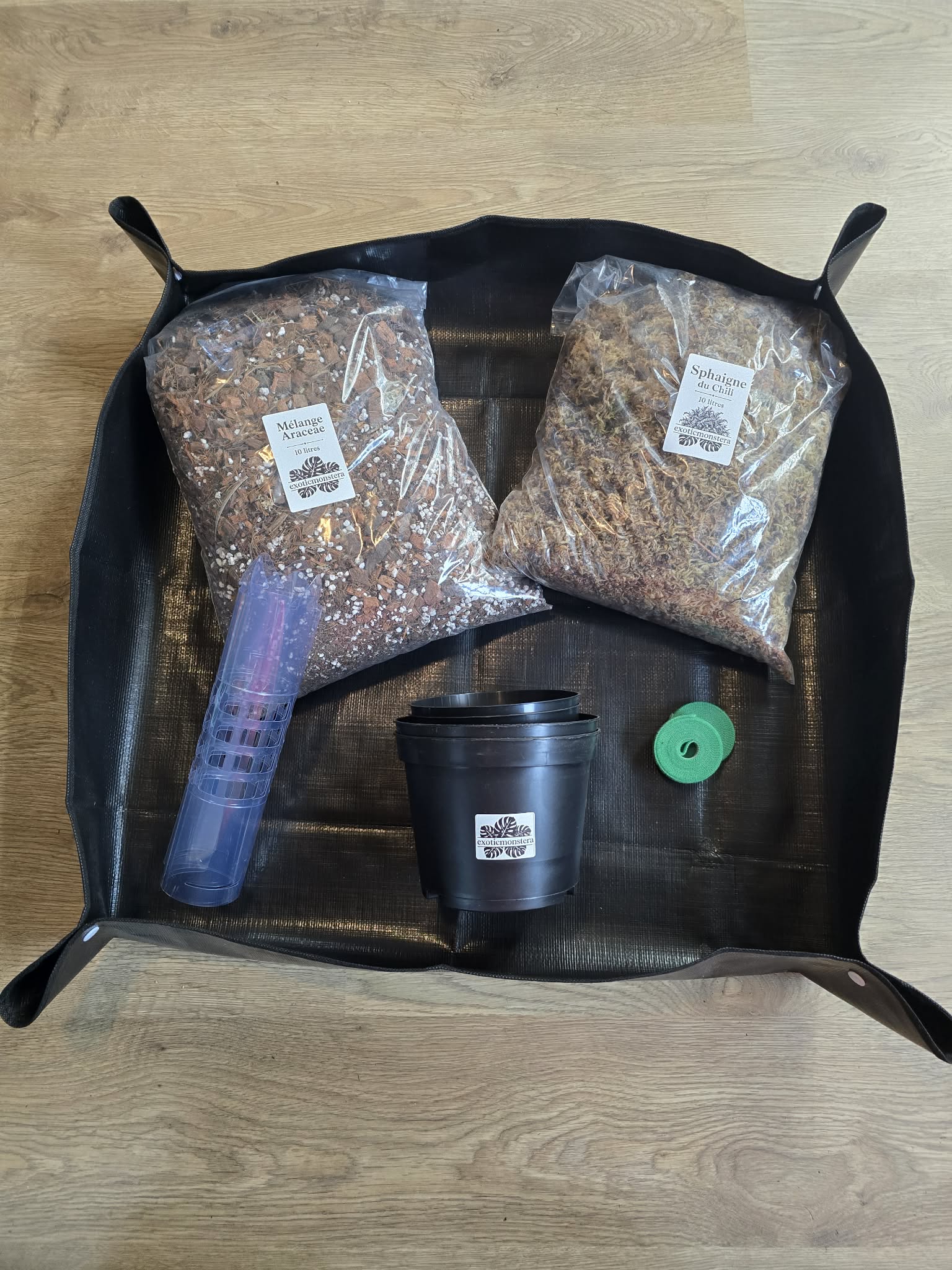 🌿 Pack Araceae Premium – Mélange Araceae 10L + Tuteur + Sphaigne + Velcros + Pot 🪴✨