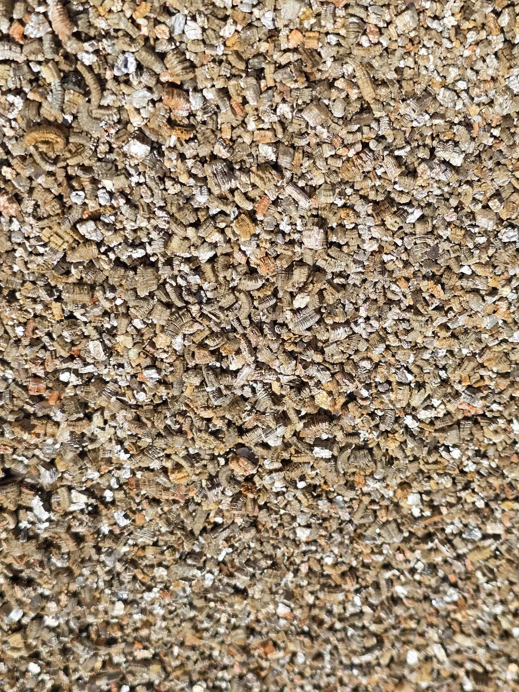 Vermiculite Premium horticole 🌿 – Rétention d’Eau Idéale pour les Boutures, Semis & Plantes Tropicales