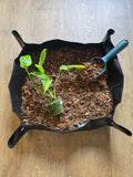 Tapis de Rempotage 🪴🌿 – 3 Tailles pour Travailler Proprement