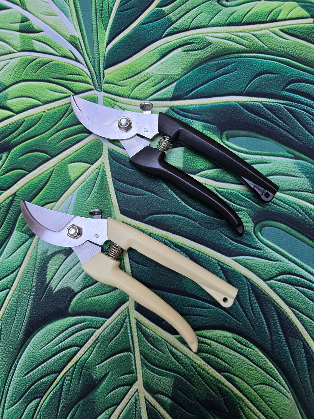 Sécateur ✂️🌿 – Coupe Nette pour les Plantes & Boutures