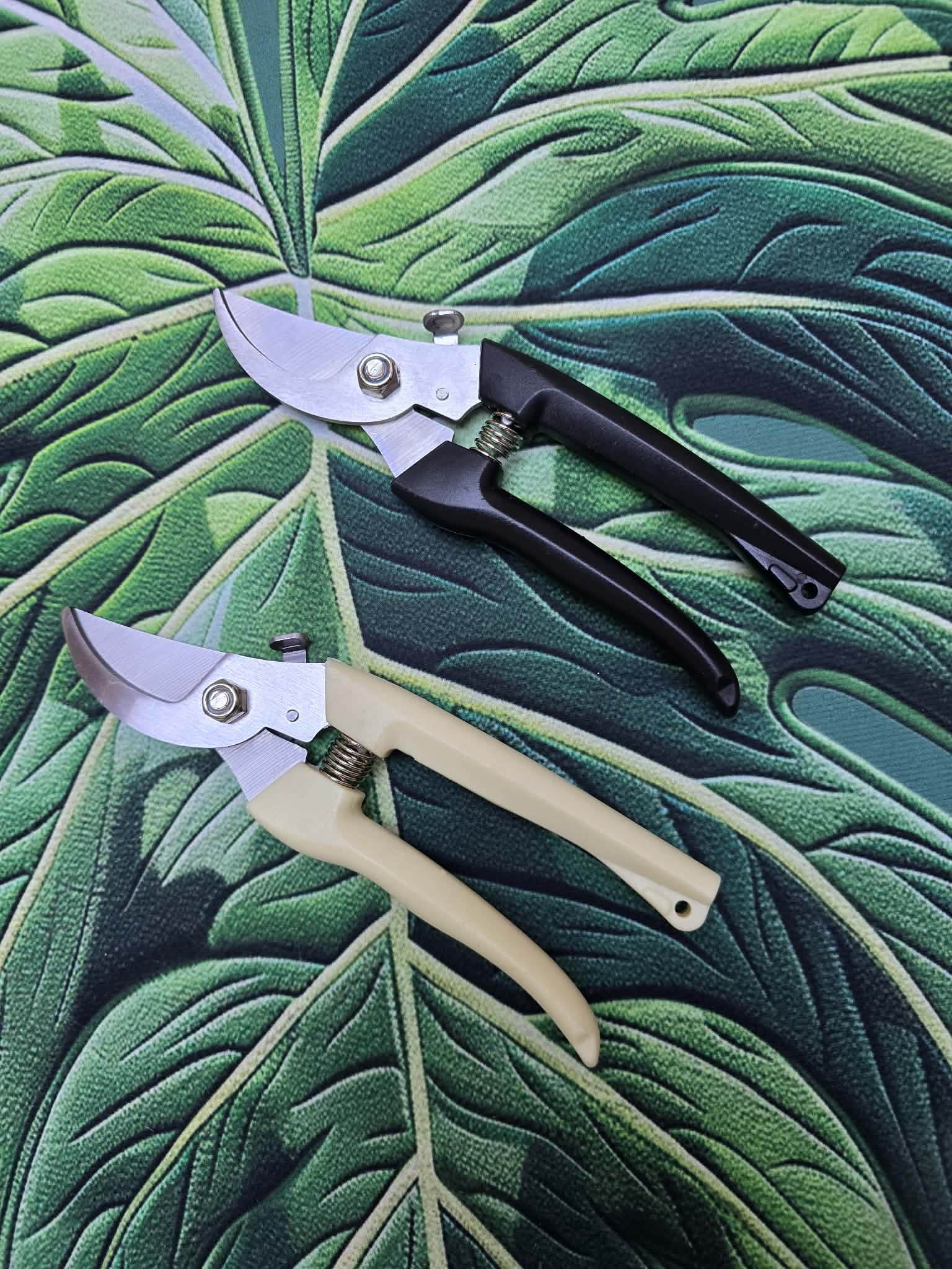Sécateur ✂️🌿 – Coupe Nette pour les Plantes & Boutures