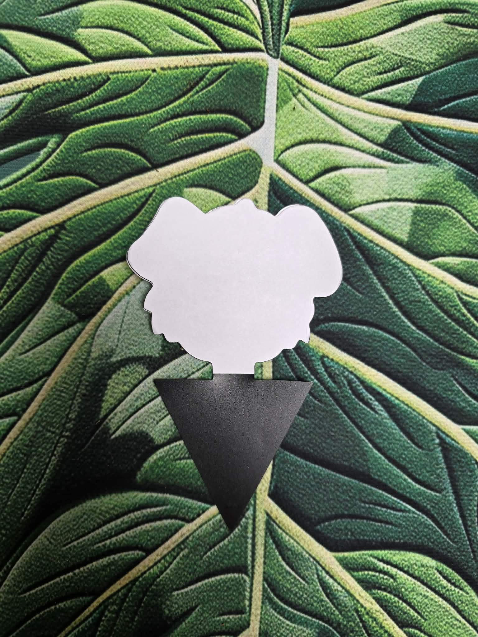 Pièges à Moucherons 🌿🪴 – Solution Efficace contre les Mouchettes du Terreau