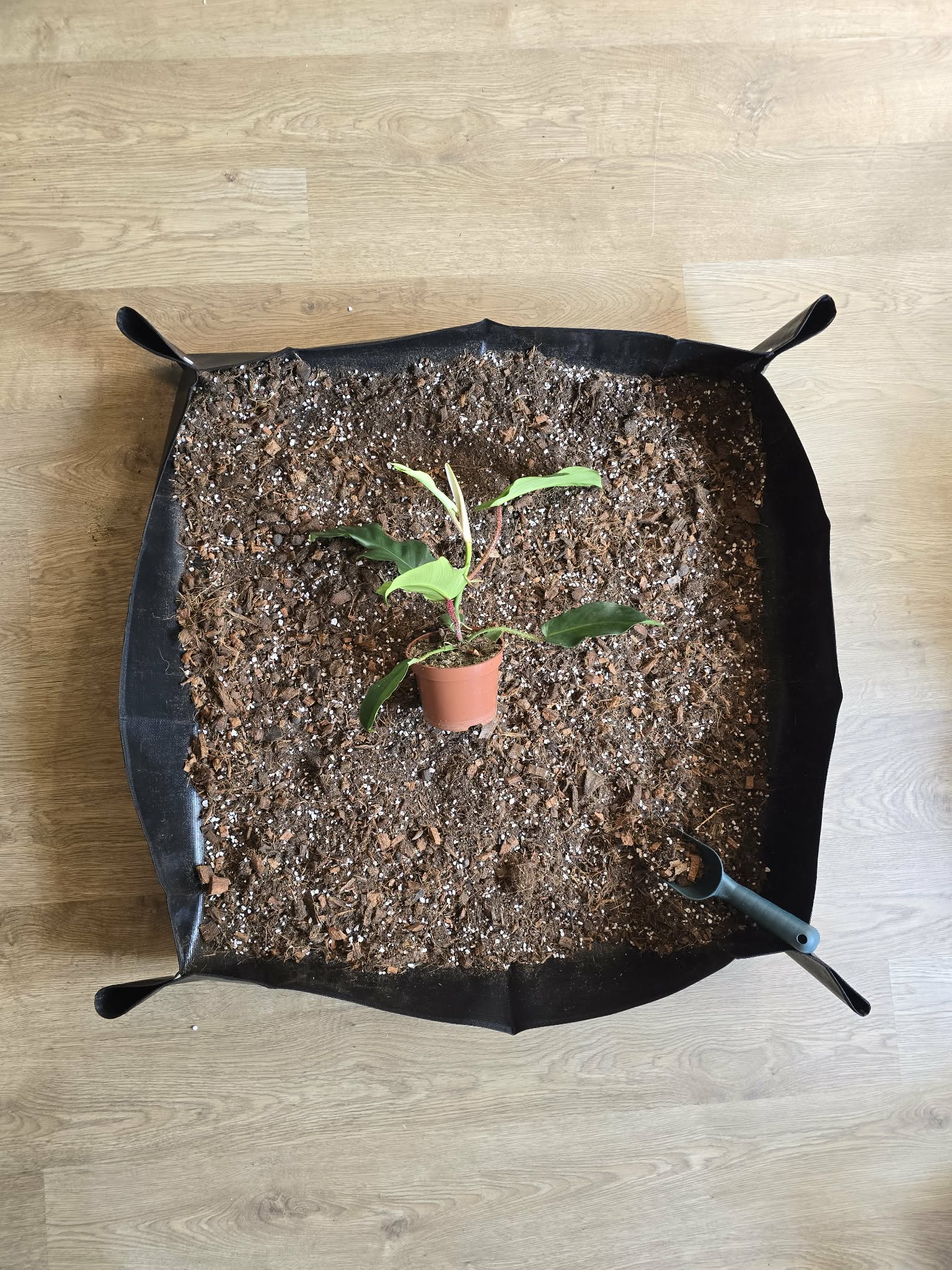 Tapis de Rempotage 🪴🌿 – 3 Tailles pour Travailler Proprement