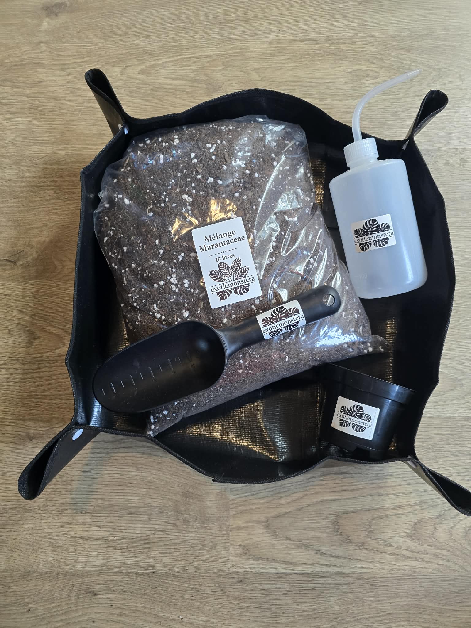 🌿 Pack Marantaceae Premium – Mélange Marantaceae 10L + Pot + Pelle + Poire d’Arrosage 🪴💧