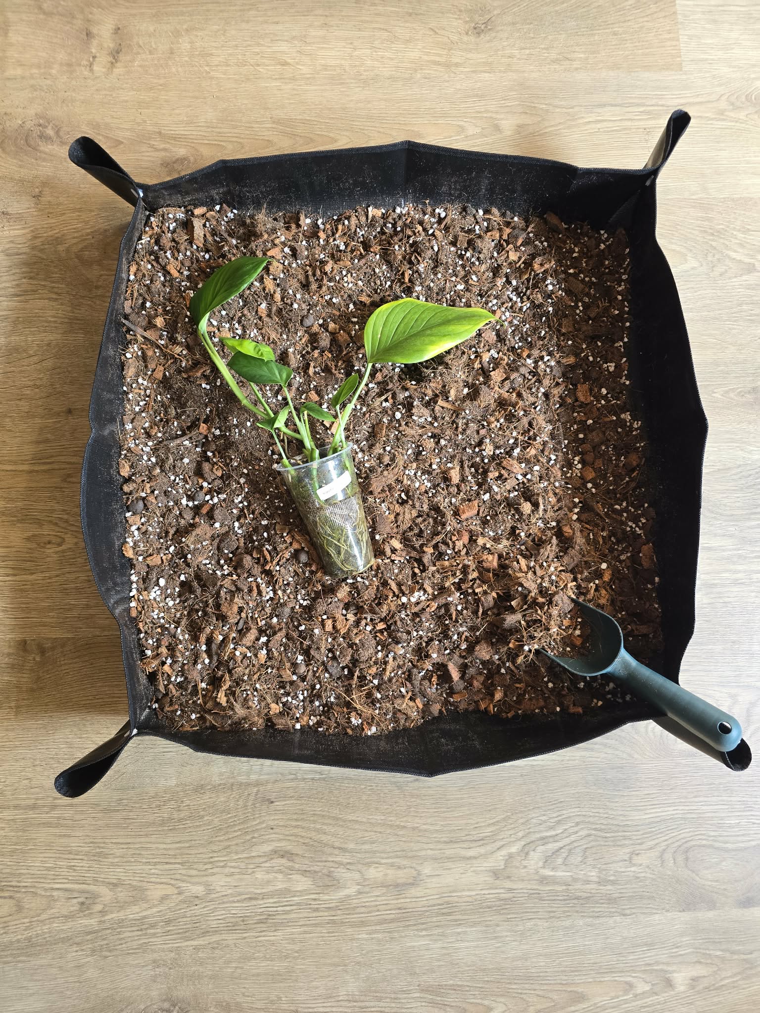 Tapis de Rempotage 🪴🌿 – 3 Tailles pour Travailler Proprement
