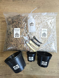 🌱 Pack Boutures – Sphaigne ou Mélange Perlite/Vermiculite + Sécateur + Poire d’Arrosage ✂️💧