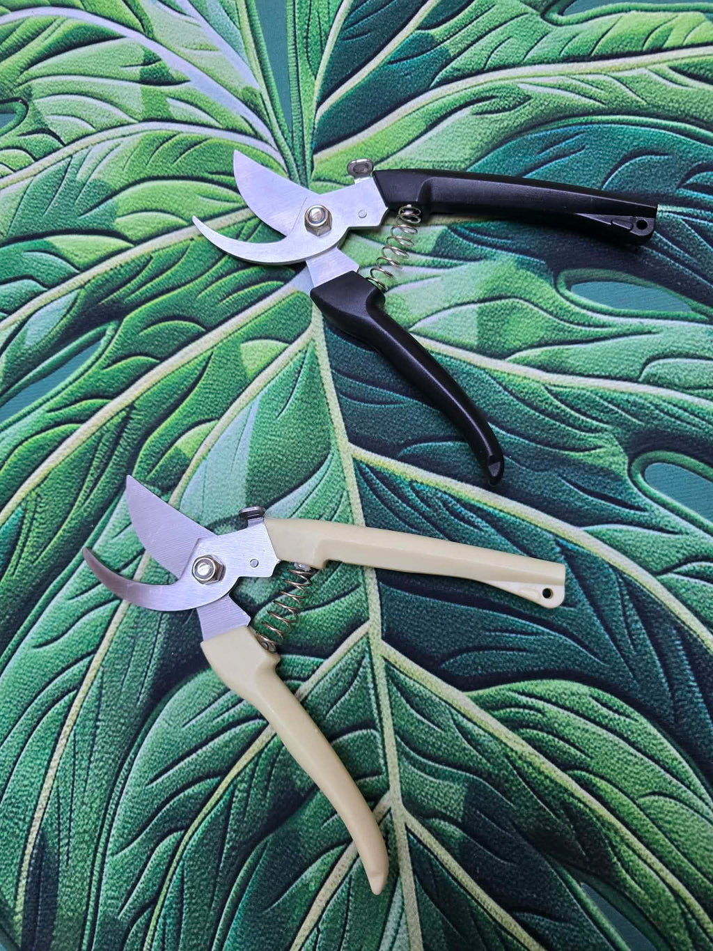Sécateur ✂️🌿 – Coupe Nette pour les Plantes & Boutures
