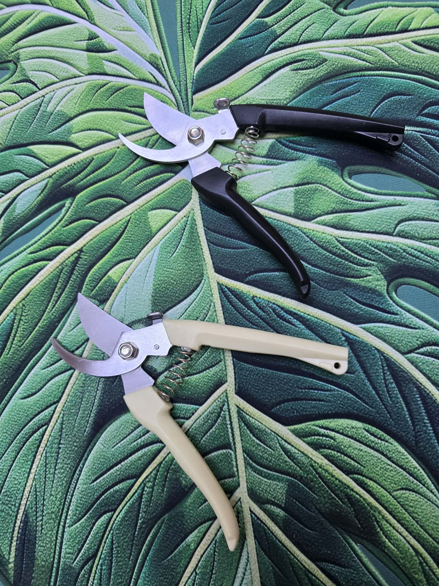 Sécateur ✂️🌿 – Coupe Nette pour les Plantes & Boutures