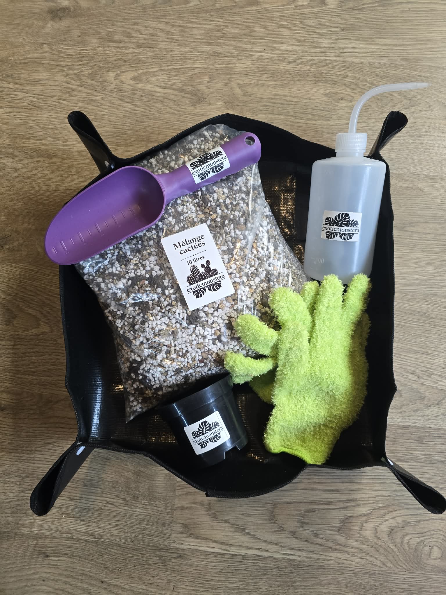 🌱 Pack Première Plante – Kit Essentiel Rempotage & Entretien 🪴💧