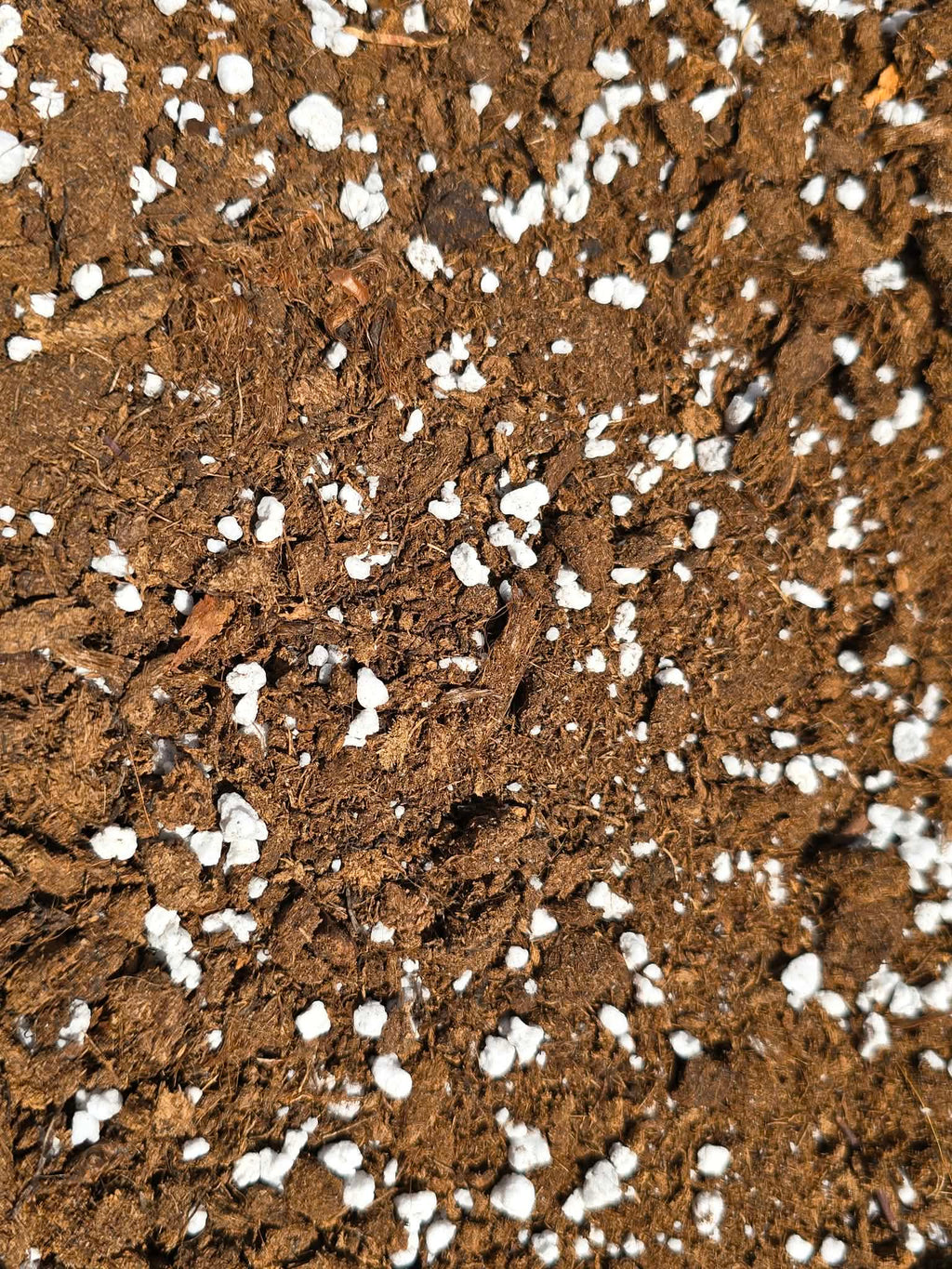Mélange Plantes Carnivores Premium 🪴 – Substrat Spécial Sans Engrais (Dionaeas, Droseras, Sarracenias)
