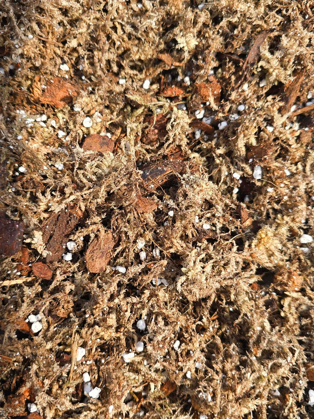Mélange Orchidacées Premium 🌸 – Substrat Aéré Idéal pour les Orchidées & Racines Saines