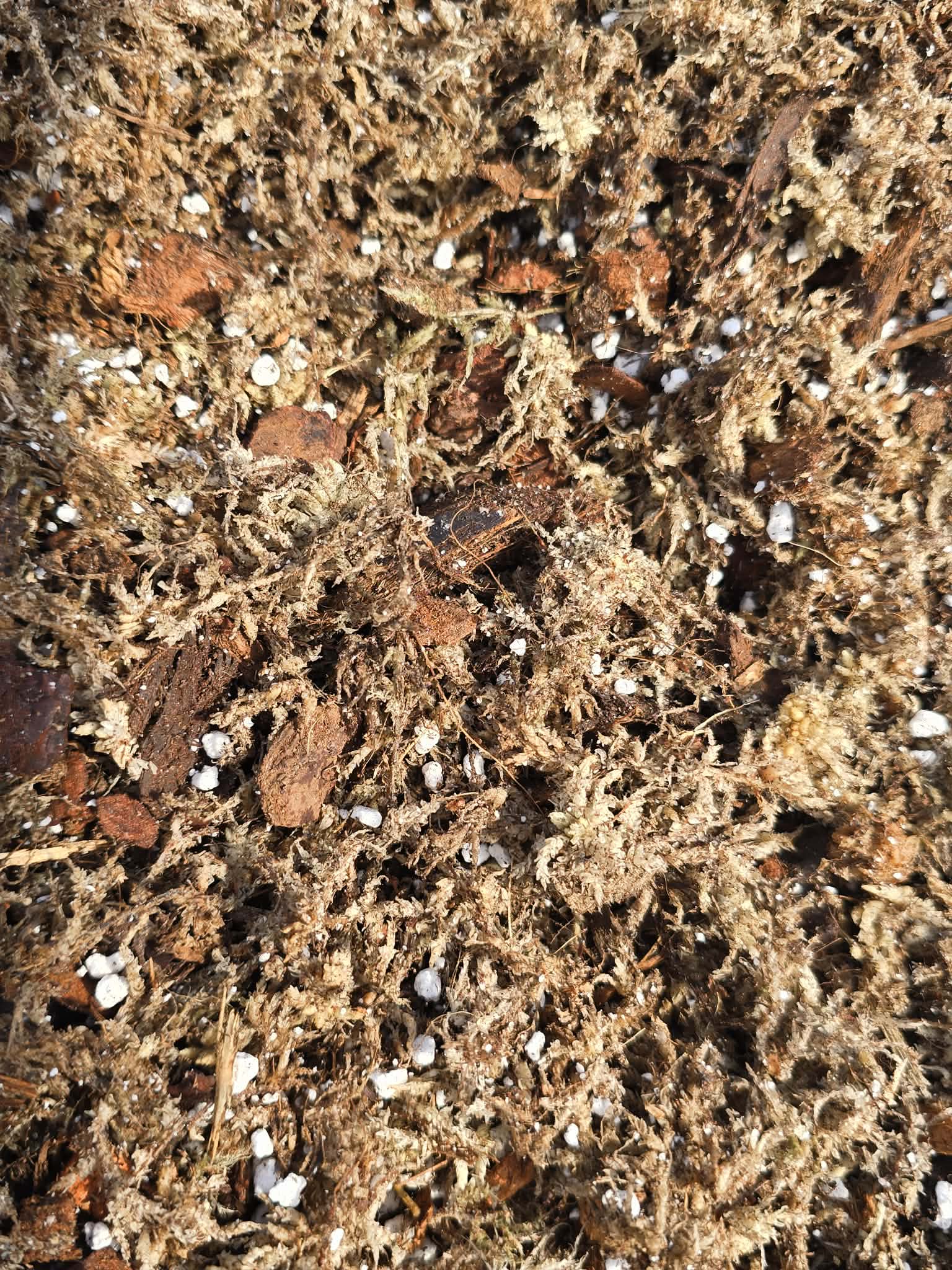 Mélange Orchidacées Premium 🌸 – Substrat Aéré Idéal pour les Orchidées & Racines Saines