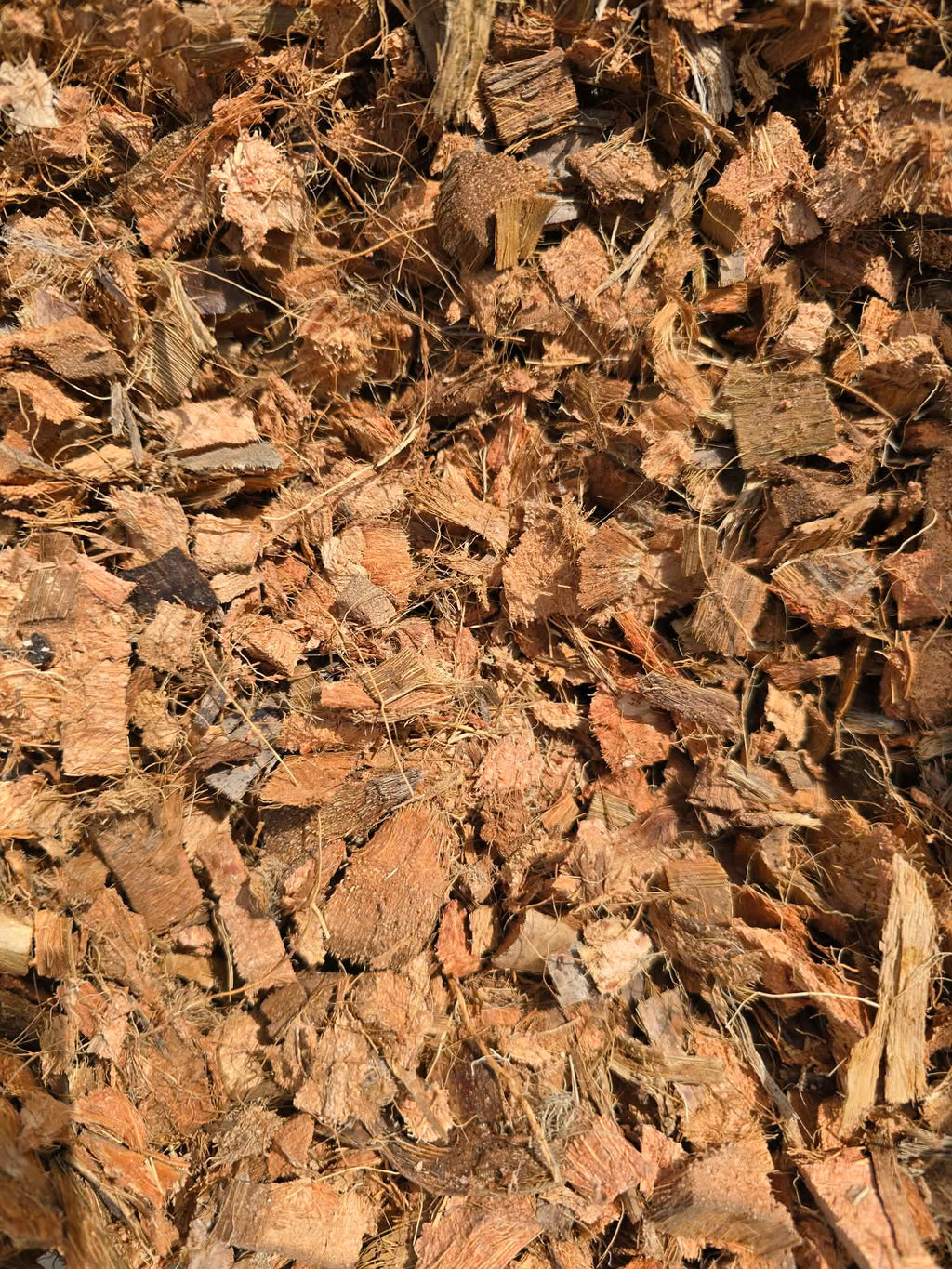 Écorces de Coco Premium 🌿 – Substrat Naturel Drainant Idéal pour les Monsteras, Orchidées & Plantes Tropicales