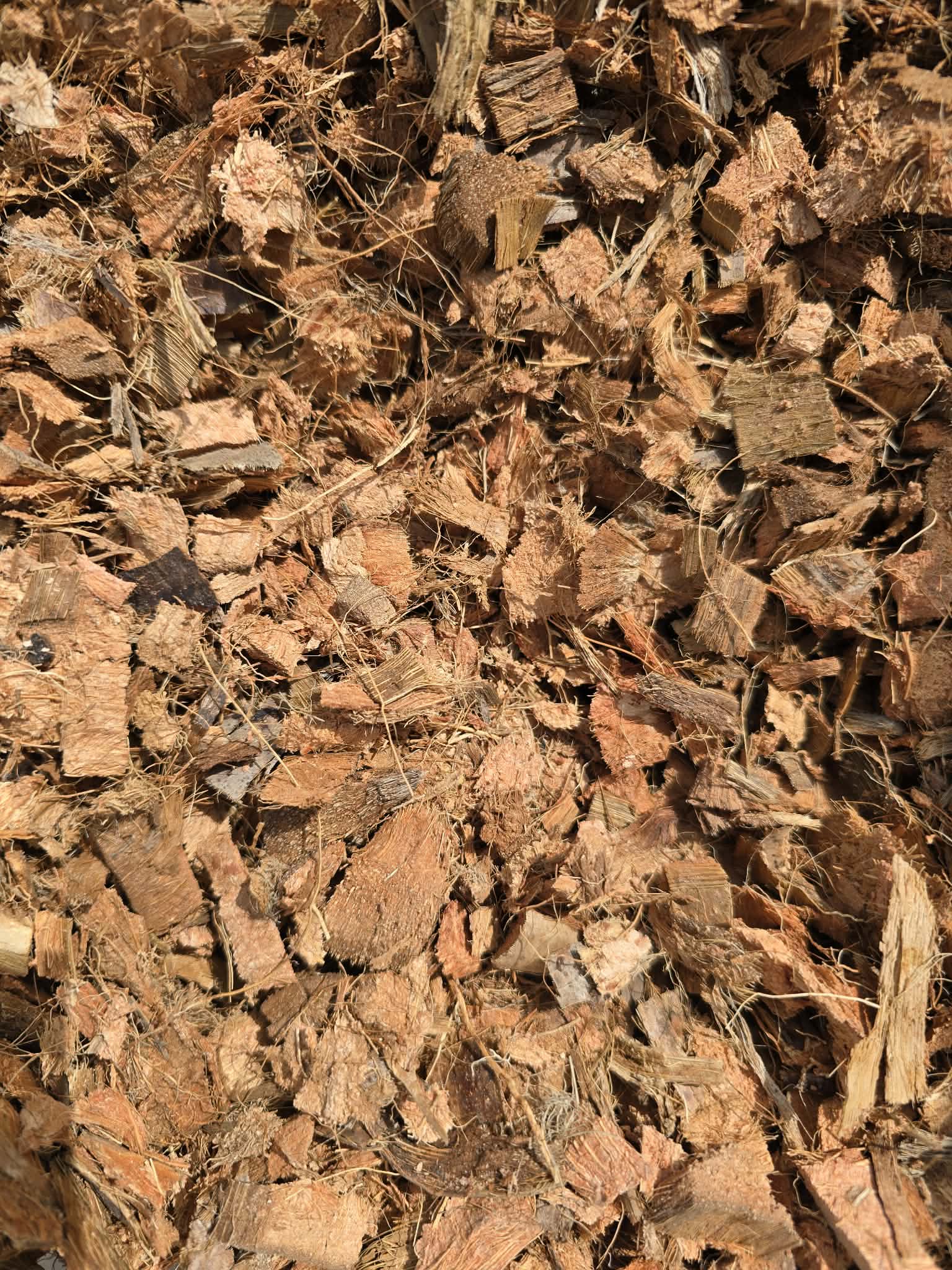 Écorces de Coco Premium 🌿 – Substrat Naturel Drainant Idéal pour les Monsteras, Orchidées & Plantes Tropicales