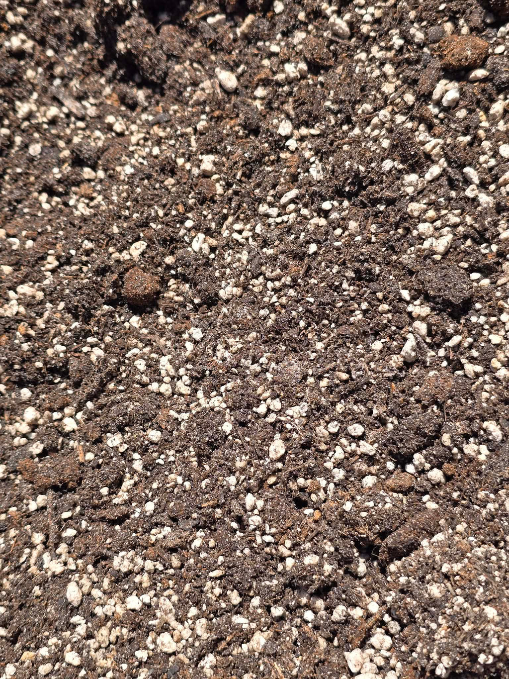 Mélange Bégoniacées Premium 🌿 – Substrat Léger & Aéré Idéal pour les Bégonias & Plantes Sensibles