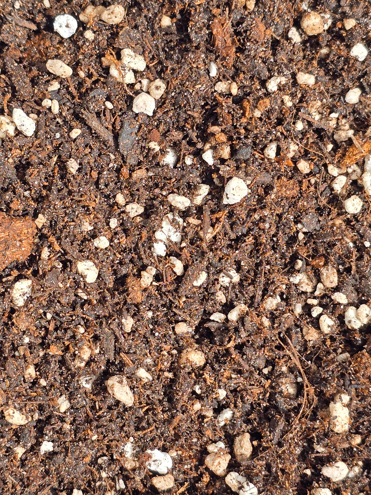 🌱 Terreau MIX – Le substrat polyvalent pour vos plantes