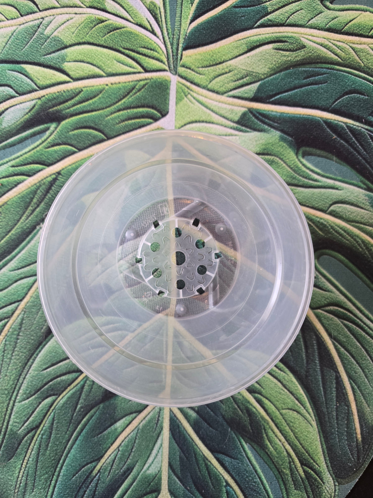 Pot transparent 12 cm