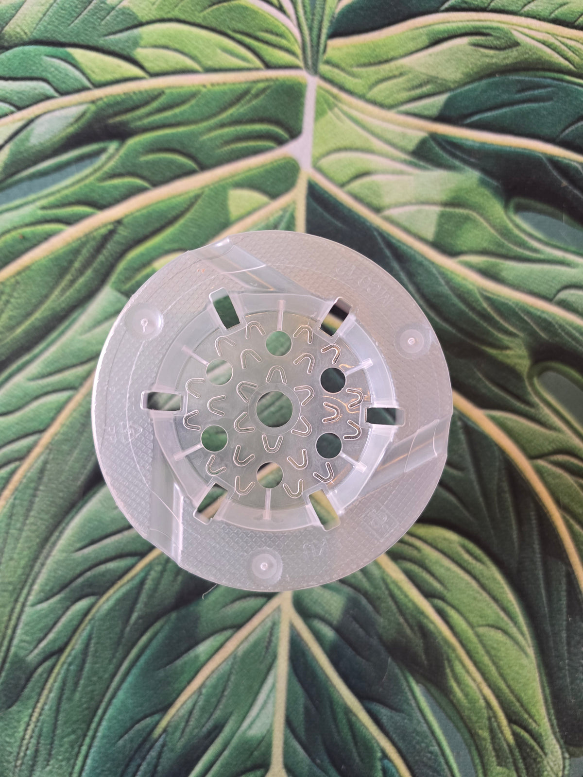 Pot transparent 12 cm