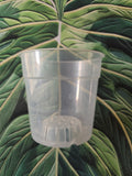 Pot transparent 12 cm