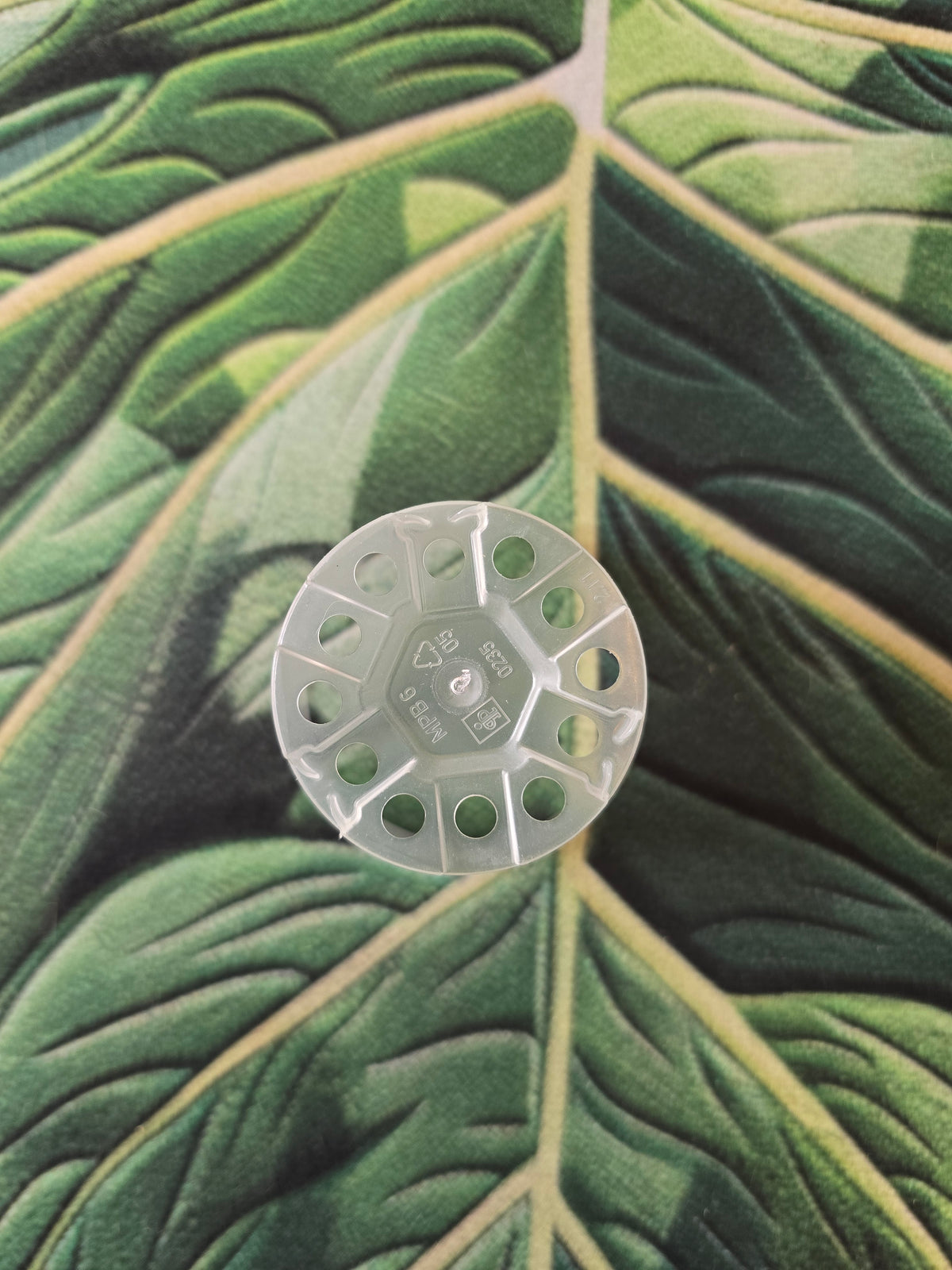 Pot Transparent 6cm