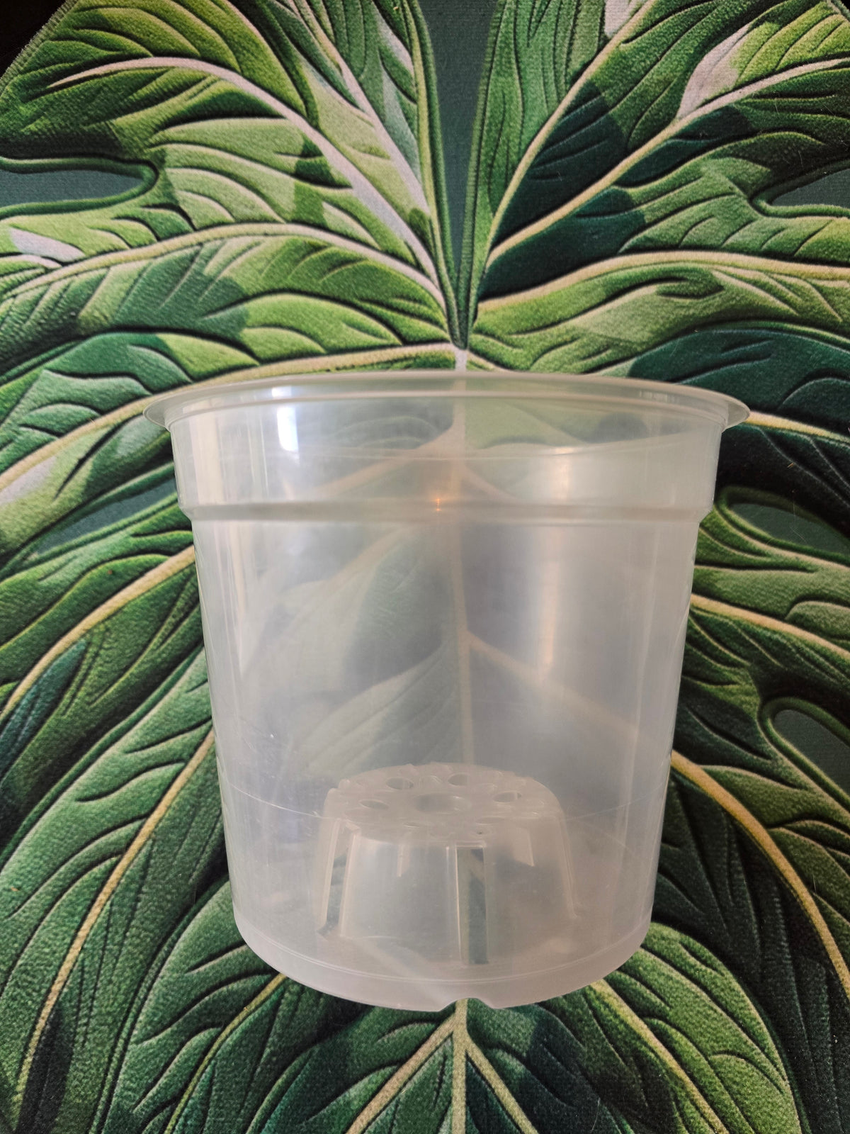 Pot transparent 15 cm