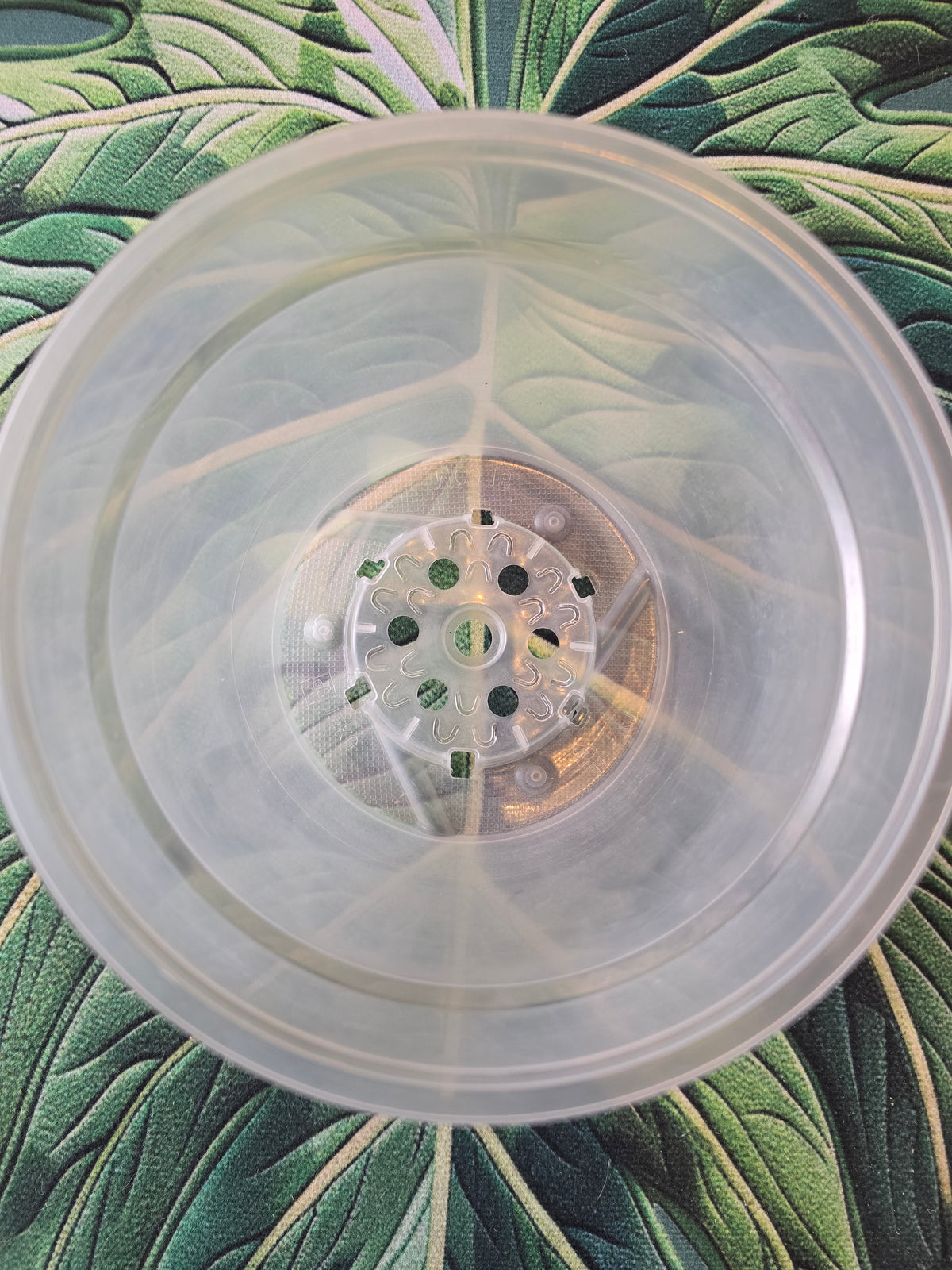 Pot transparent 15 cm