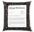 Mélange Marantaceae Premium 🌿 – Substrat Idéal pour les Calatheas, Marantas & Plantes Tropicales Sensibles