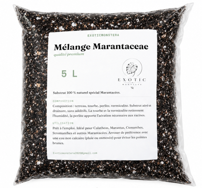 Mélange Marantaceae Premium 🌿 – Substrat Idéal pour les Calatheas, Marantas & Plantes Tropicales Sensibles