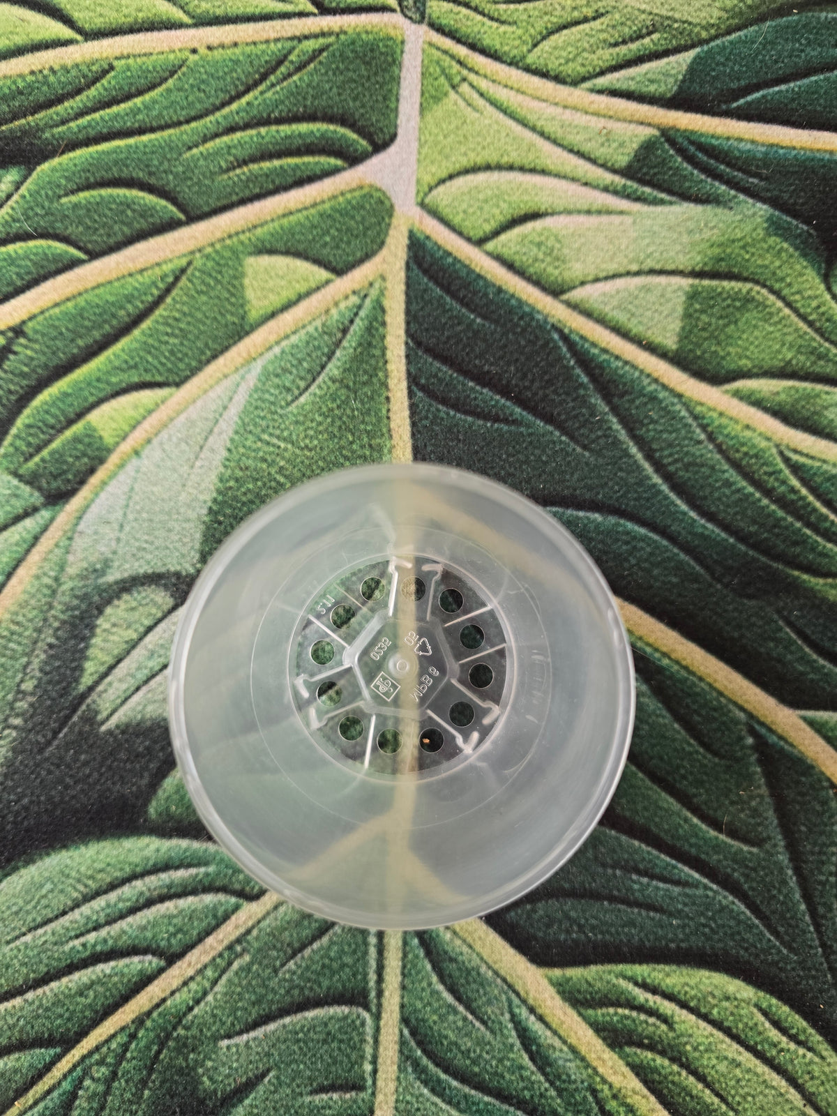 Pot Transparent 6cm