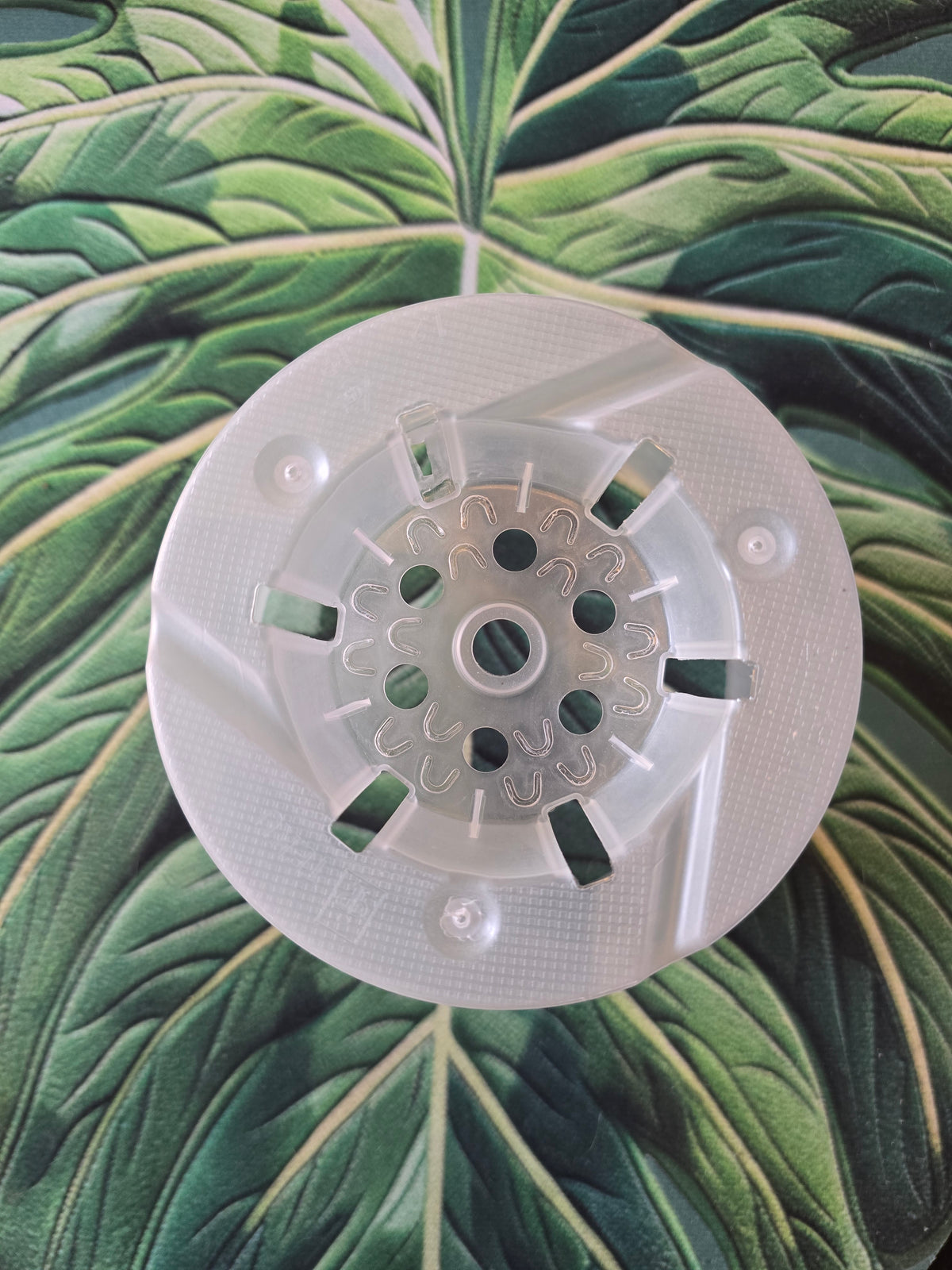 Pot transparent 15 cm